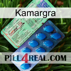 Kamargra new02